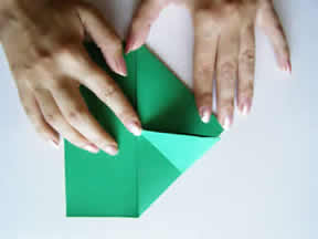imagen 6