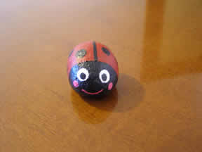 imagen 6