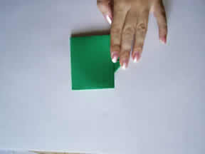 imagen 10