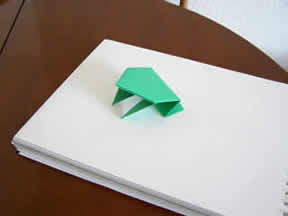 imagen 13